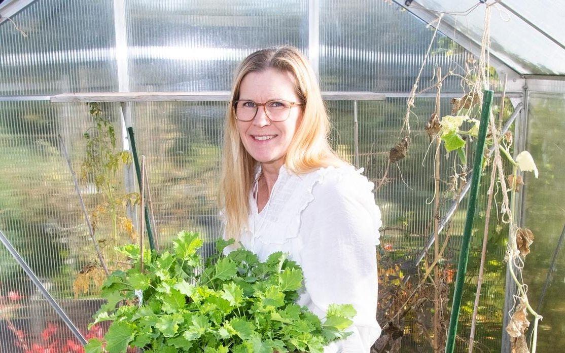 Jenny Bäcklund odlar tomater, gurkor, örter och det finns både bärbuskar och fruktträd i trädgården i villaträdgården utanför Halmstad.