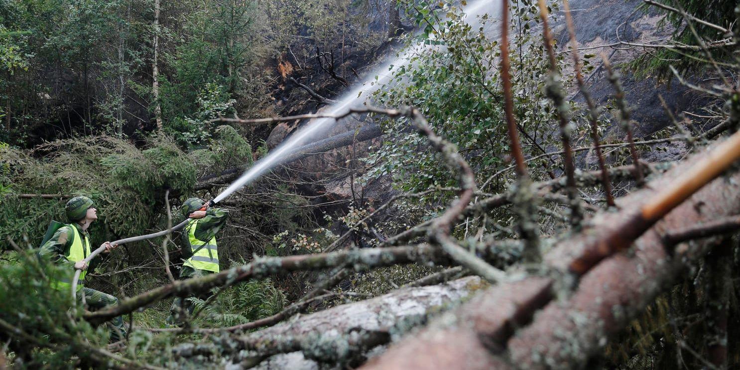 Regeringen avsätter 110 miljoner kronor i ett krispaket till branddrabbade skogsbruket. Arkivbild.