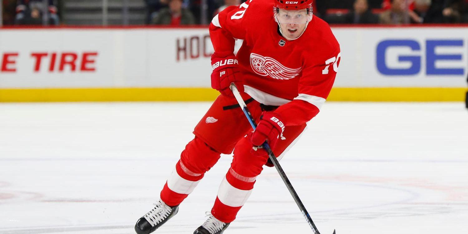 Christoffer Ehn gjorde 13 poäng på sina 114 matcher för Detroit Red Wings.