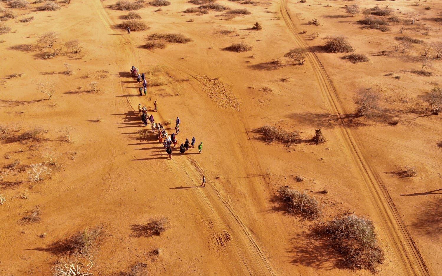 Arkivbild på människor som kommer till ett läger i Dollow, Somalia. 