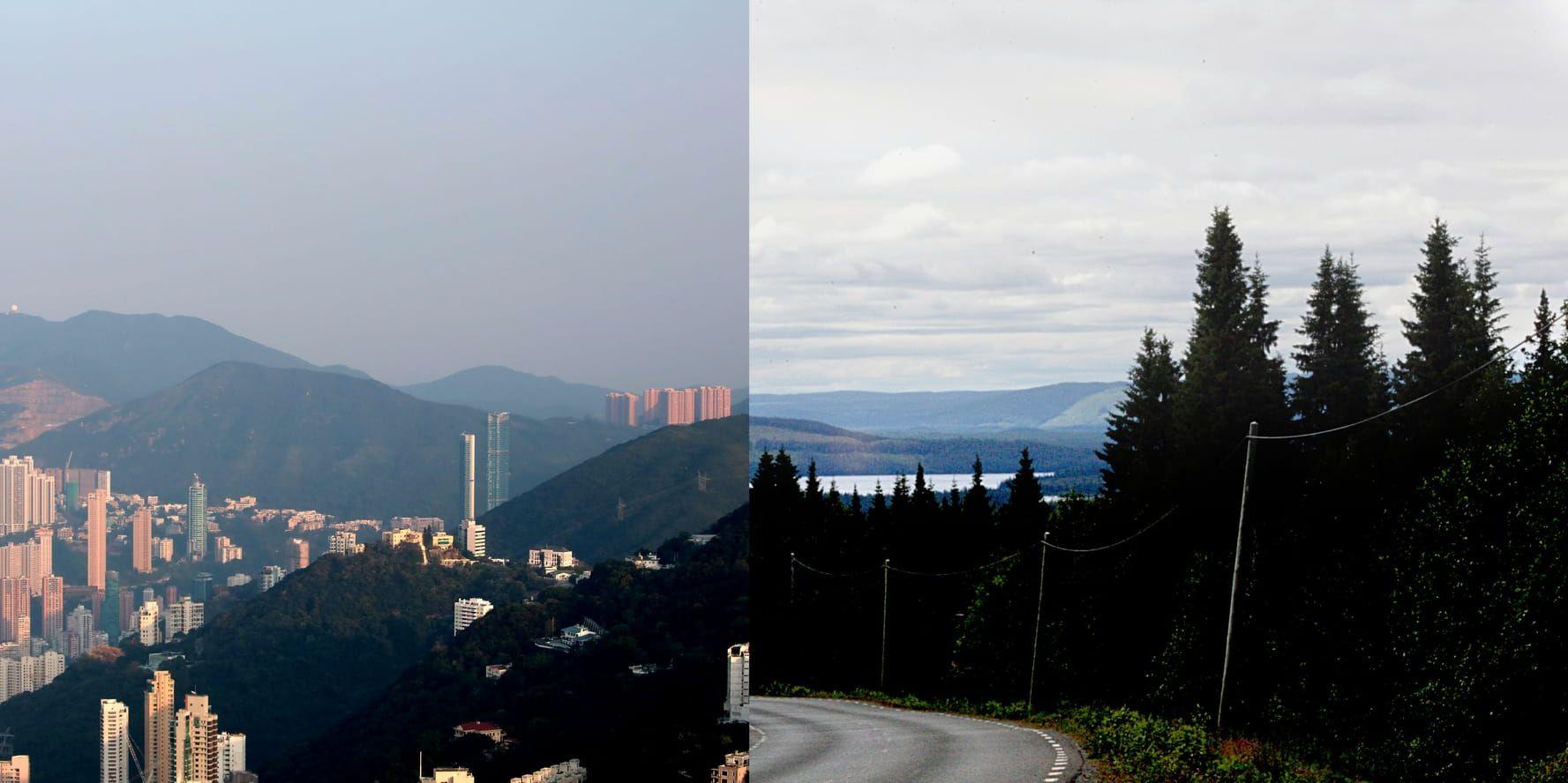 Rör sig mellan världar. Från makrokosmos som utgörs av ett  FN-möte i Hong-Kong till ett mikrodito i den västerbottniska naturen.