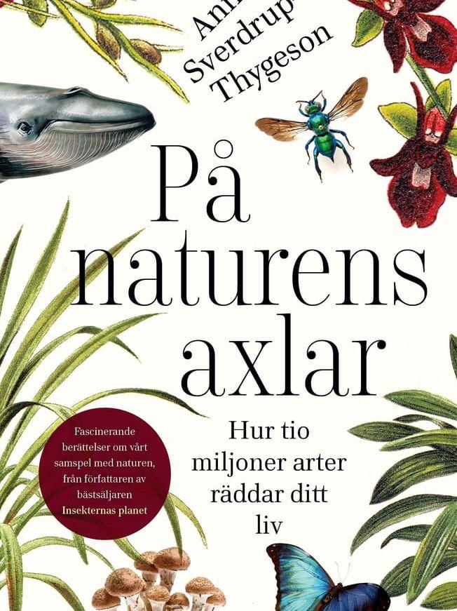 Anne Sverdrup-Thygeson fick sitt genombrott som populärvetenskaplig författare med ”Insekternas planet”. I ”På naturens axlar” (Volante, 2021) vill hon visa ”allt det fantastiska som pågår i naturen så att du ska se vad som står på spel”.