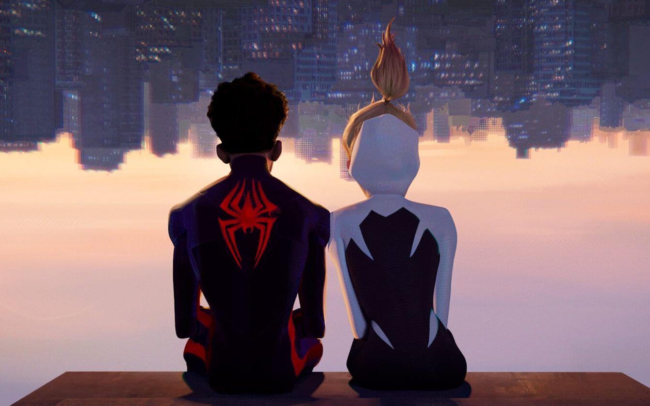 Tonårige Miles Morales som är den nye Spider-man blir allt mer besatt av Gwen i ”Spider-man: across the spider-verse”.