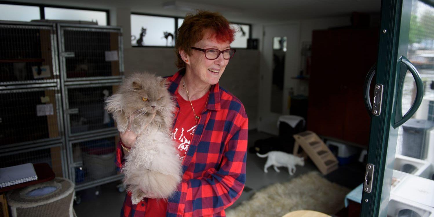 Judith Gobets och katten Kasumi. Judith växte upp vid samma kanal som Henriette och en dag gick den unga Judith till kattbåten och frågade om hon kunde hjälpa till.