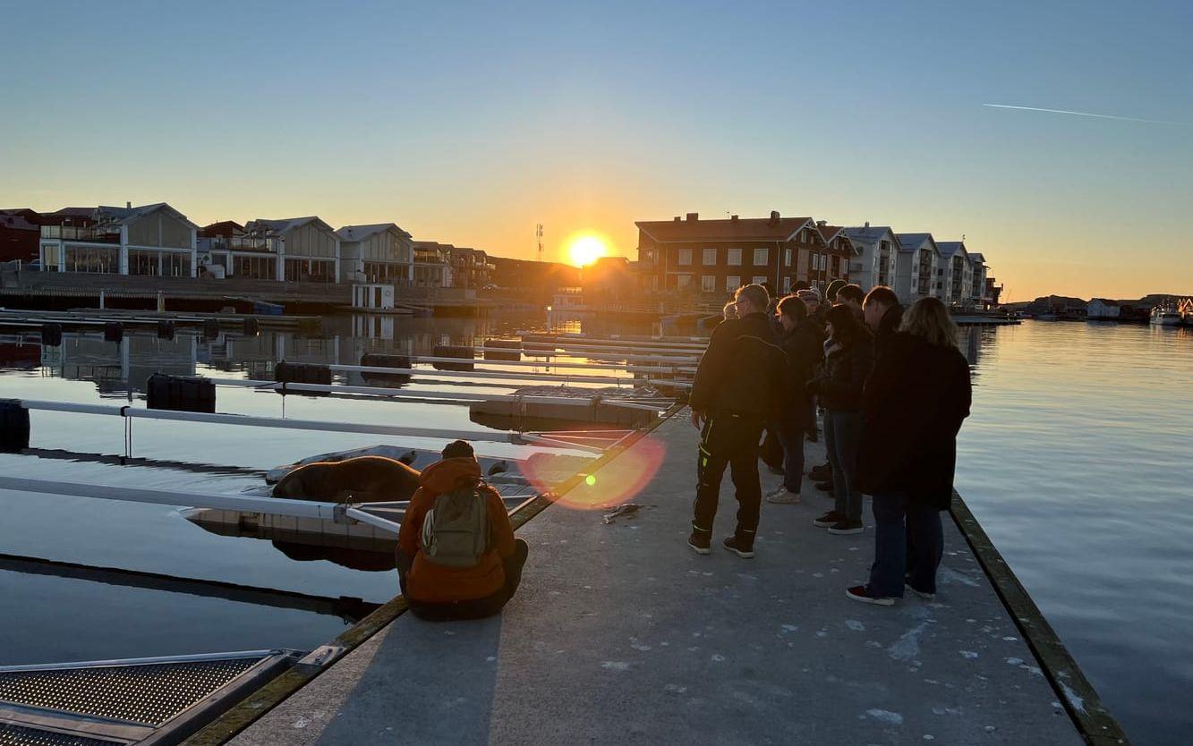 Valrossen lockade publik även under fredagskvällen. En av de som fick se den innan den begav sig vidare var Stefan Sandbergh.