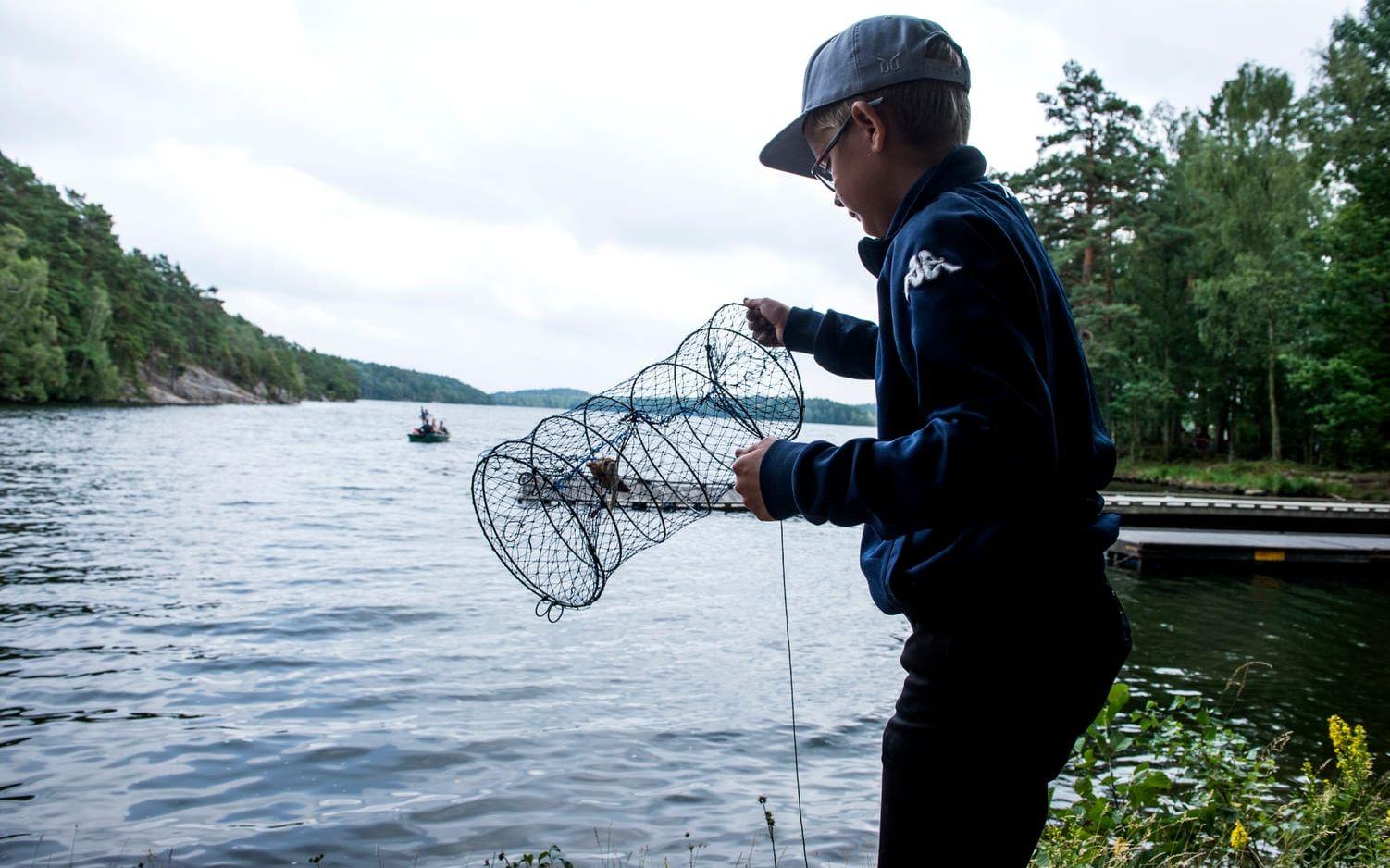 Oskar Ivarsson slänger i en av kräftburarna. Bild: Anders Hofgren