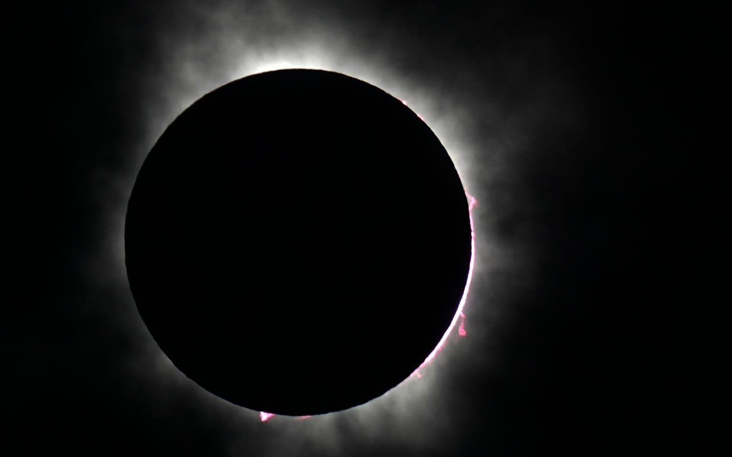 Måndagens solförmörkelse, sedd från Fort Worth i Texas.